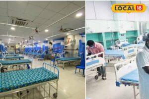 HYP_5812104_cropped_22032026_094231_inshot_20260322_094216580__2-1200x800-1