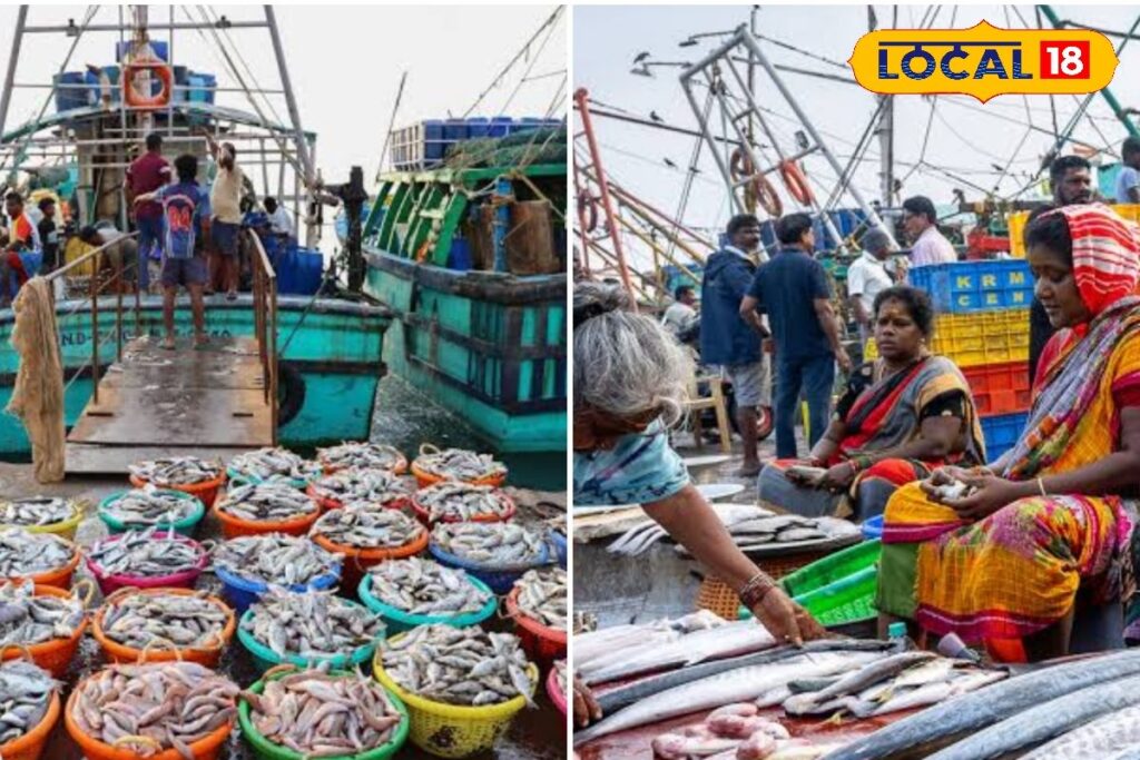 HYP_5812178_cropped_22032026_123928_inshot_20260322_123914662__2-1200x800-1