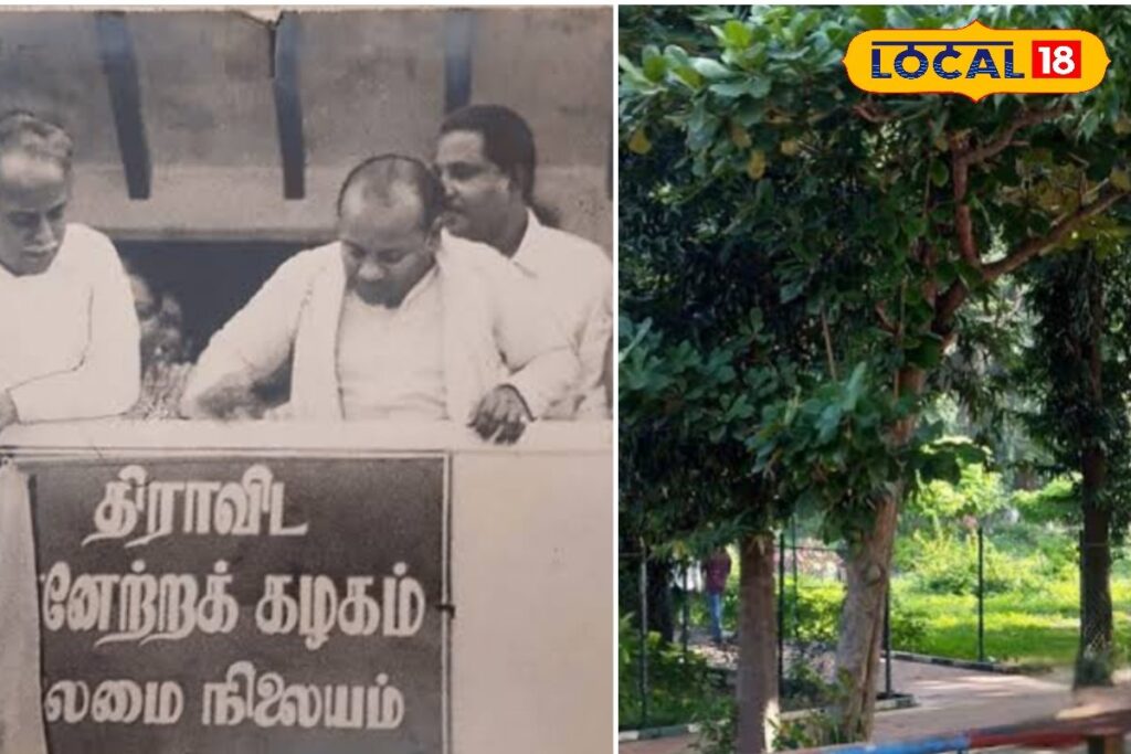 HYP_5812457_cropped_22032026_214707_inshot_20260322_214654505__2-1200x800-1