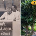 HYP_5812457_cropped_22032026_214707_inshot_20260322_214654505__2-1200x800-1