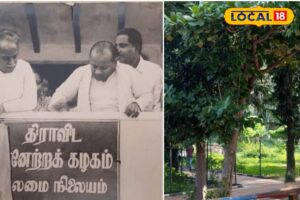 HYP_5812457_cropped_22032026_214707_inshot_20260322_214654505__2-1200x800-1