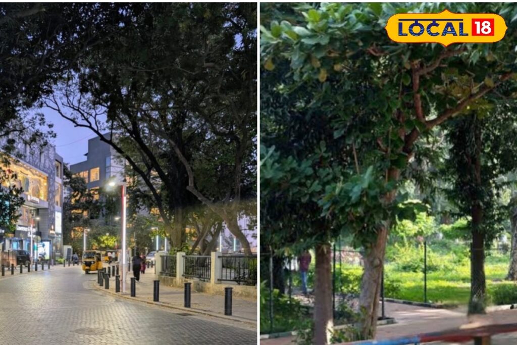 HYP_5812508_cropped_23032026_015120_inshot_20260323_014615997__1-1200x800-1