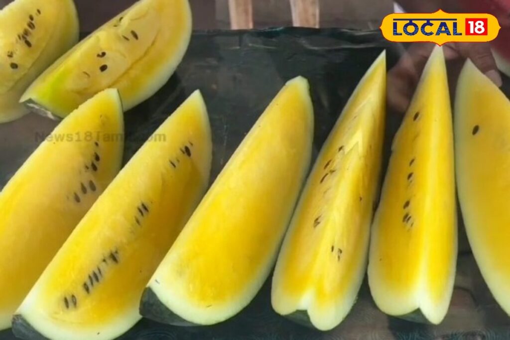 HYP_5813356_cropped_24032026_090541_1774323331474_watermark_24_2-1200x800-1