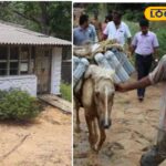 HYP_5813438_cropped_24032026_110802_inshot_20260324_110746542__2-1200x800-1