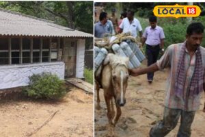 HYP_5813438_cropped_24032026_110802_inshot_20260324_110746542__2-1200x800-1