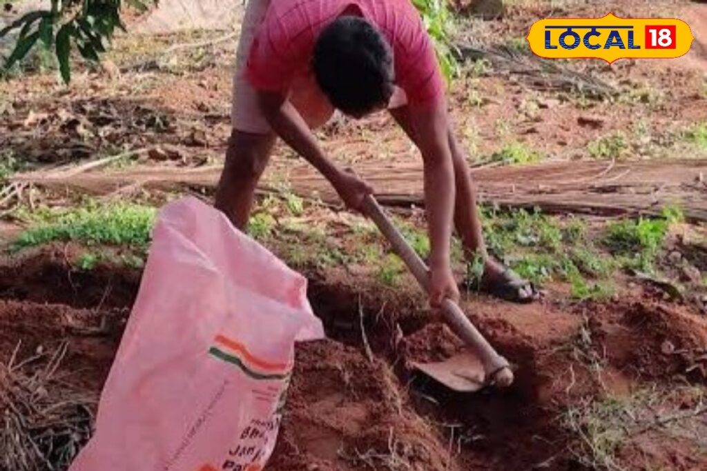 HYP_5814959_cropped_26032026_114452_images_3_watermark_2603202_1-1200x800-1