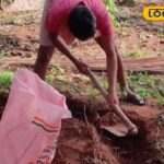 HYP_5814959_cropped_26032026_114452_images_3_watermark_2603202_1-1200x800-1