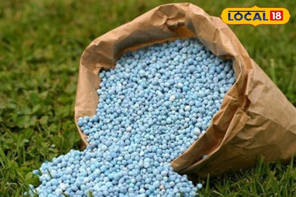 HYP_5815500_cropped_27032026_082145_image_search_1774578327552_2-1200x800-1