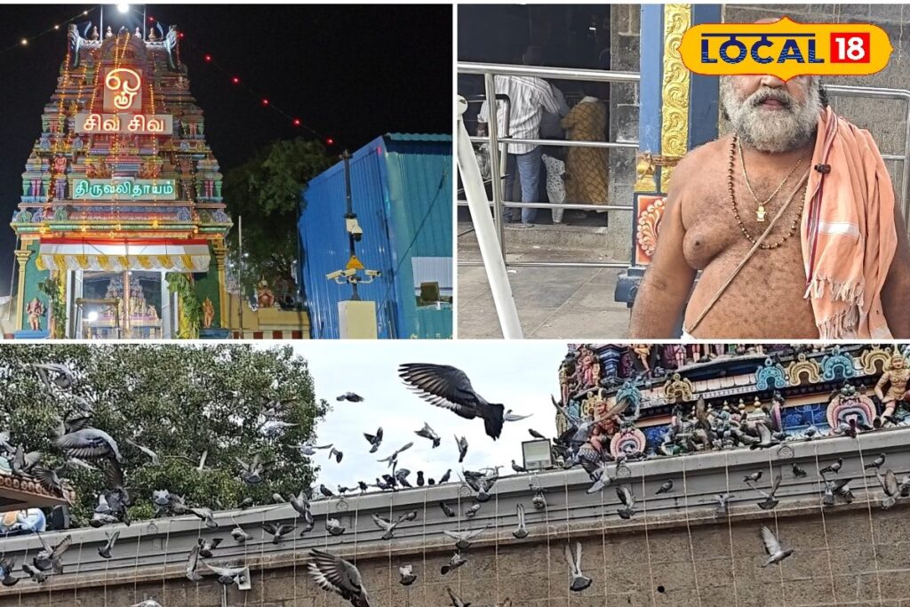 HYP_5815663_cropped_27032026_121552_inshot_20260327_121540064__2-1200x800-1