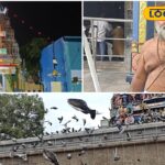 HYP_5815663_cropped_27032026_121552_inshot_20260327_121540064__2-1200x800-1