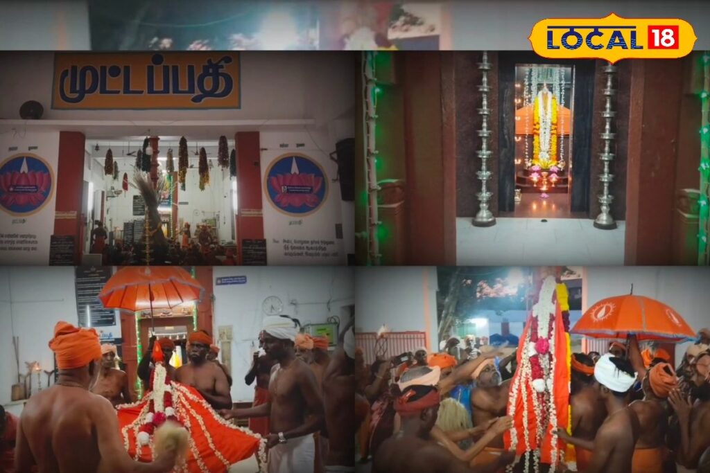 HYP_5815781_cropped_27032026_142640_inshot_20260327_142553415__2-1200x800-1