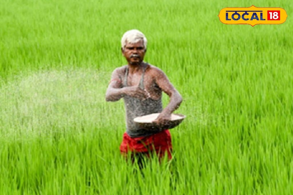 HYP_5816063_cropped_27032026_194945_image_search_1774578602156_2-1200x800-1