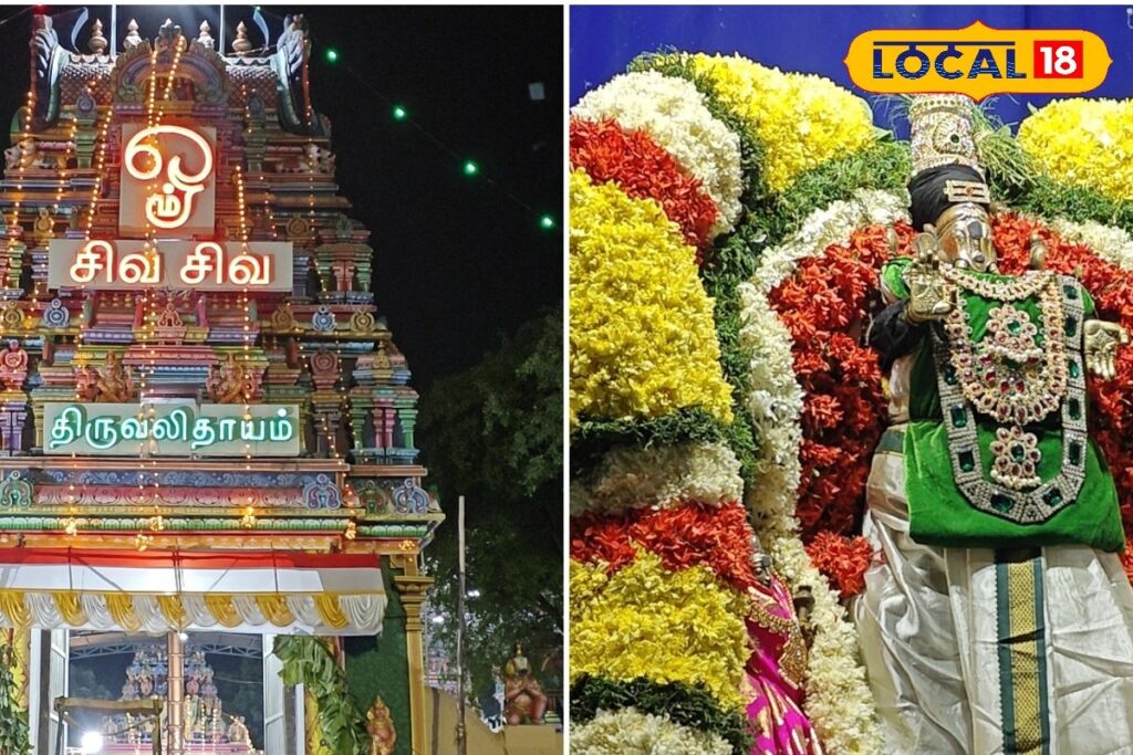 HYP_5816191_cropped_28032026_043144_inshot_20260328_042459161__2-1200x800-1