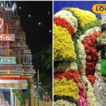 HYP_5816191_cropped_28032026_043144_inshot_20260328_042459161__2-1200x800-1