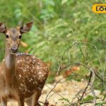 HYP_5816845_cropped_29032026_112941_images_6_watermark_2903202_2-1200x800-1