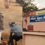 School-student-2026-03-9859fd941dd7dd464e7f1d2d49c45262-1200x800-1