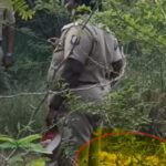 Student-Murder-2026-03-94615e1999fa016124d24e2fb5615b87-1200x800-1