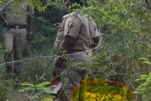 Student-Murder-2026-03-94615e1999fa016124d24e2fb5615b87-1200x800-1