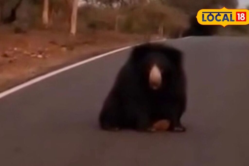 Untitled-design-68-2026-03-7d0af6bd1dba0067a81ec02e3b884204-1200x800-1