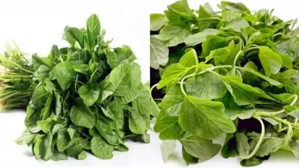 aatfe-down-1740548735-jpg-1774103839958_1774103717258-1200x675-1