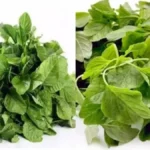 aatfe-down-1740548735-jpg-1774103839958_1774103717258-1200x675-1