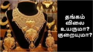 befunky-collage-2026-03-14t171840-596-1773488938