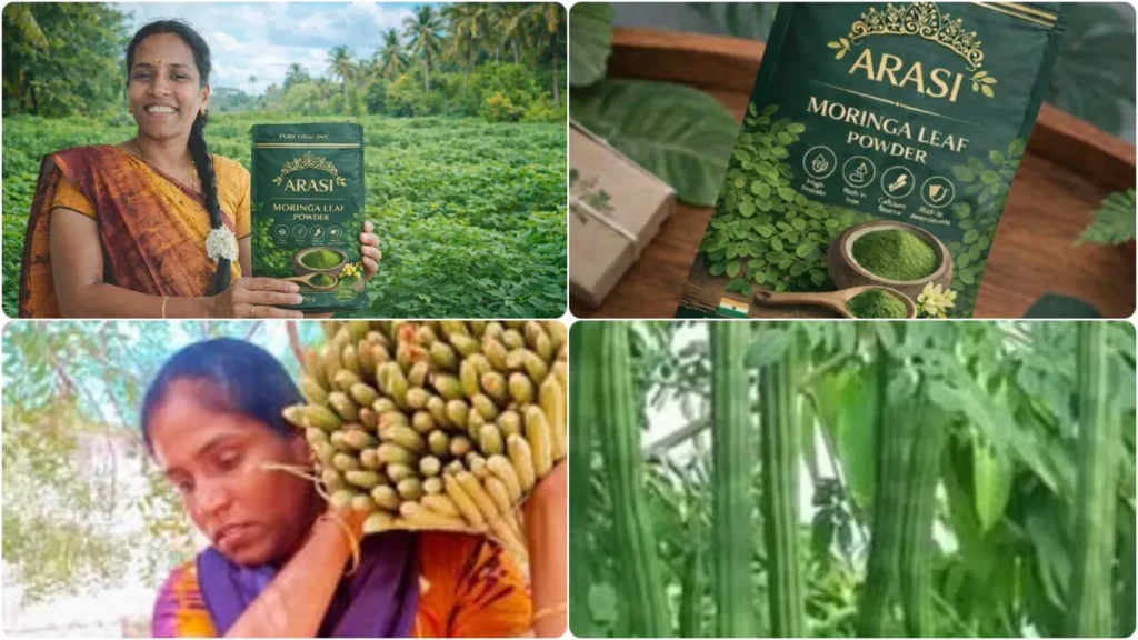 befunky-collage-2026-03-22t180218-525-1774182848