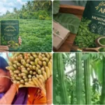 befunky-collage-2026-03-22t180218-525-1774182848