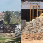 bird-flu-2026-03-9fb3f6603101608a20805cd435e7dc5a-1200x800-1