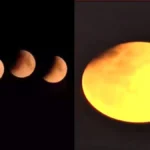 c-2026-03-03t190102-009-jpg-1772544673047_1772544673296-1200x675-1