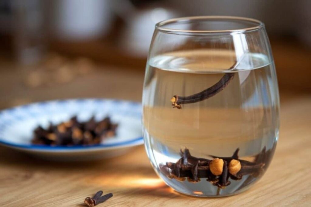 clove-2026-03-3726e7aa92160efcf2f3a033a2a168e0-1200x800-1