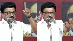 cmstalin01-1774967280