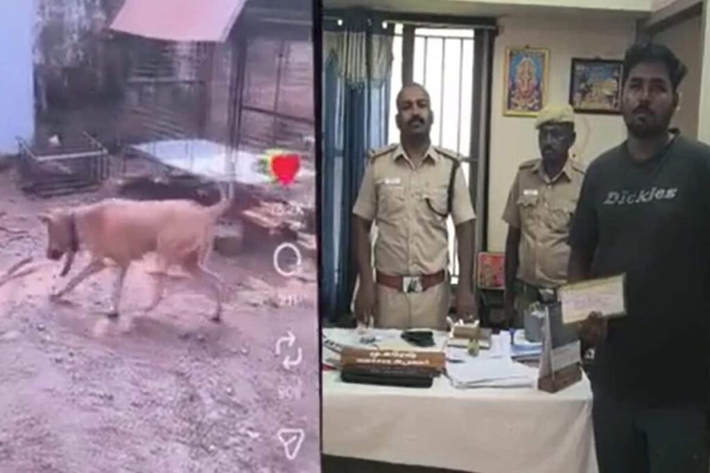 crime-2026-03-5ce1f2212c0c5613e585a7d1bf865b92-1200x800-1