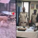 crime-2026-03-5ce1f2212c0c5613e585a7d1bf865b92-1200x800-1