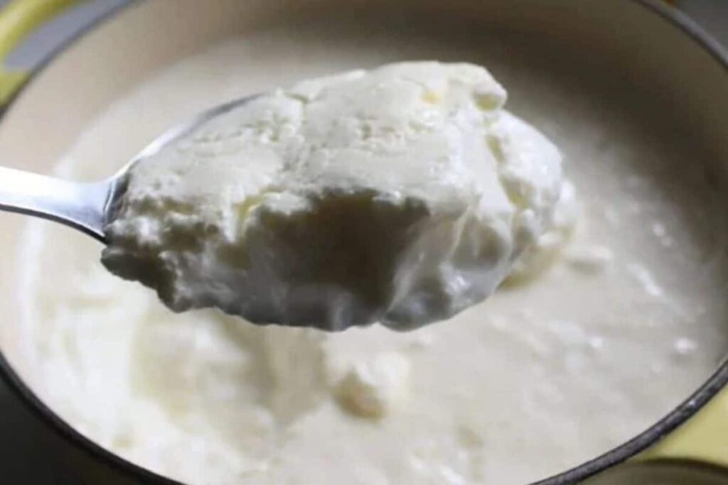 curd-1-2026-03-9d8516a27893d00b66095d3d0c6e7569-1200x800-1