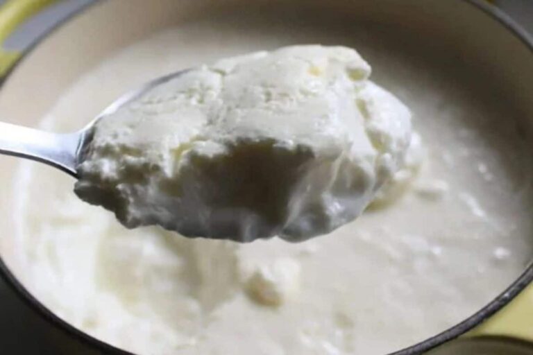 curd-1-2026-03-9d8516a27893d00b66095d3d0c6e7569-1200x800-1