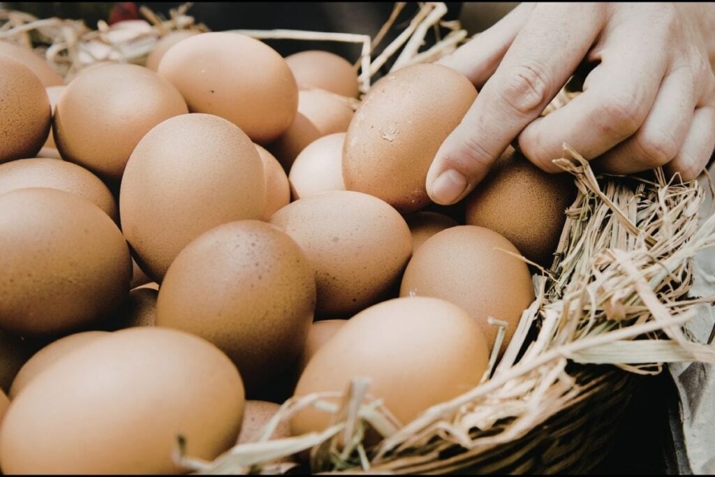 egg-2026-03-0d4fd3fcc6020f4226a7f59c6f6430a0-1200x800-1