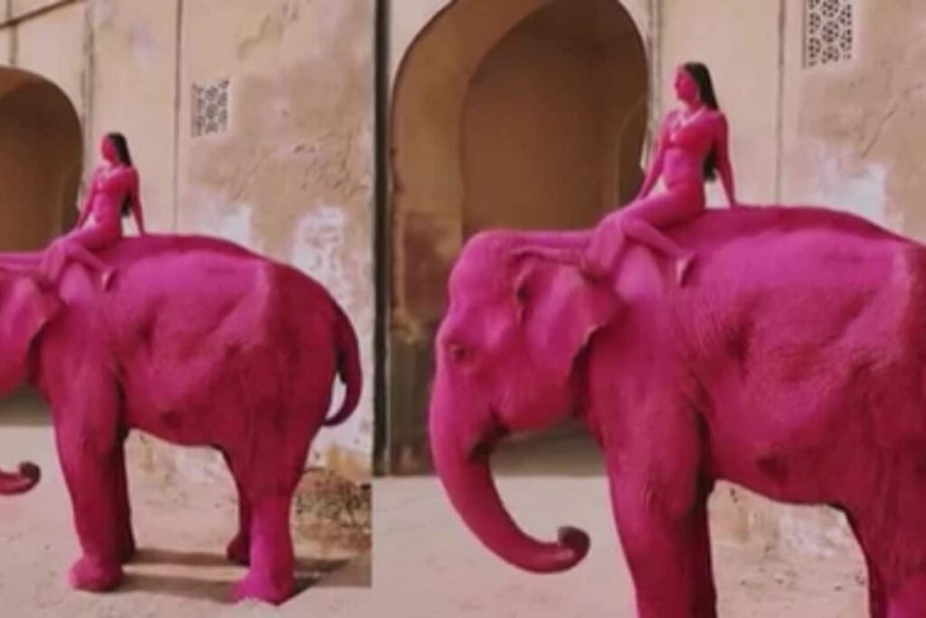 elephant-2026-03-b5285d3bcb23e7143d1423383f51677e-1200x800-1