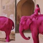 elephant-2026-03-b5285d3bcb23e7143d1423383f51677e-1200x800-1