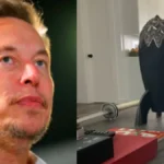 elon-musk-1773413885