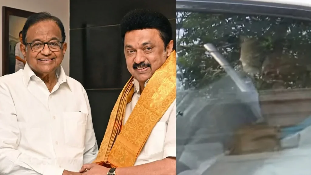 enhanced-image-2026-03-03t153449-659-1772532303