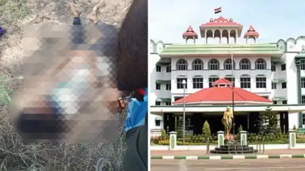 fa520bbaf2f44-1773672688