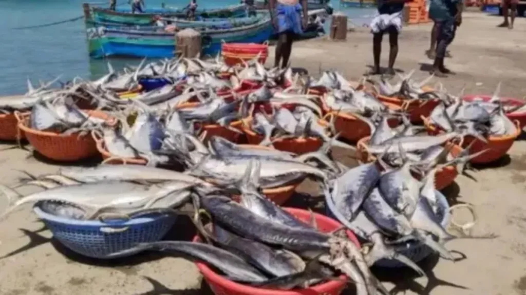 fishinghome-1774598769