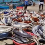 fishinghome-1774598769