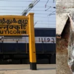 fishtuticorin-1772802620