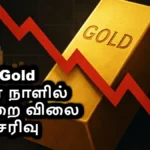 gold78-1774262602