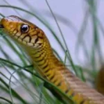 hfbfhbf-1-jpg-1774695570218_1774695457364-1200x675-1