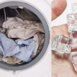 ice-cubes-1-2026-03-c607b7e058eda18bb5c655bf0a472a08-1200x800-1