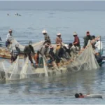 image1-2026-03-02t212017-964-1772466639