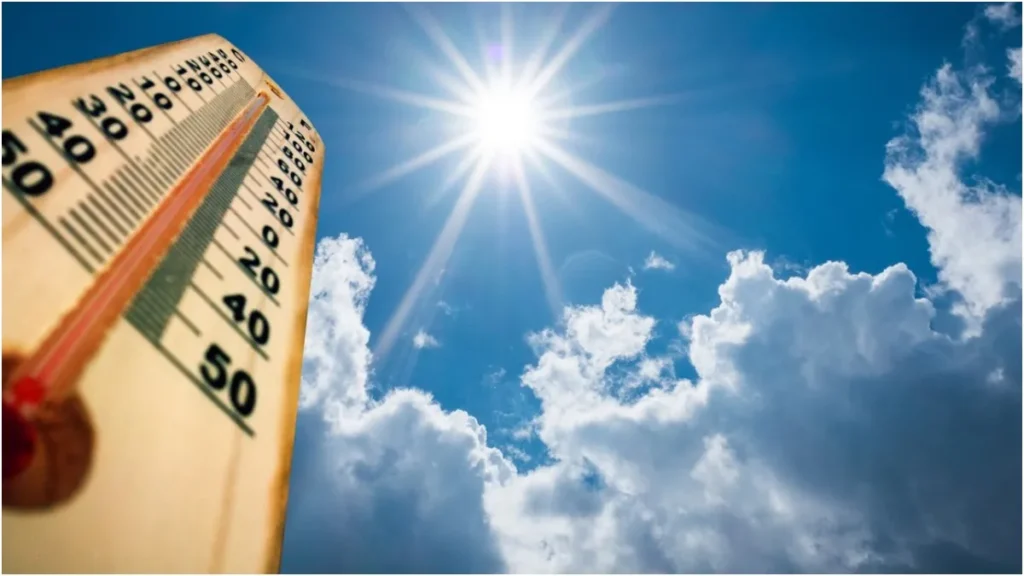 image1-2026-03-13t140753-423-1773391094